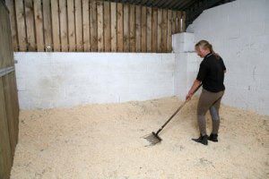 cleaning horse bedding